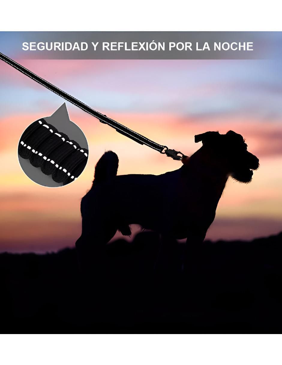 Correa para perro 3