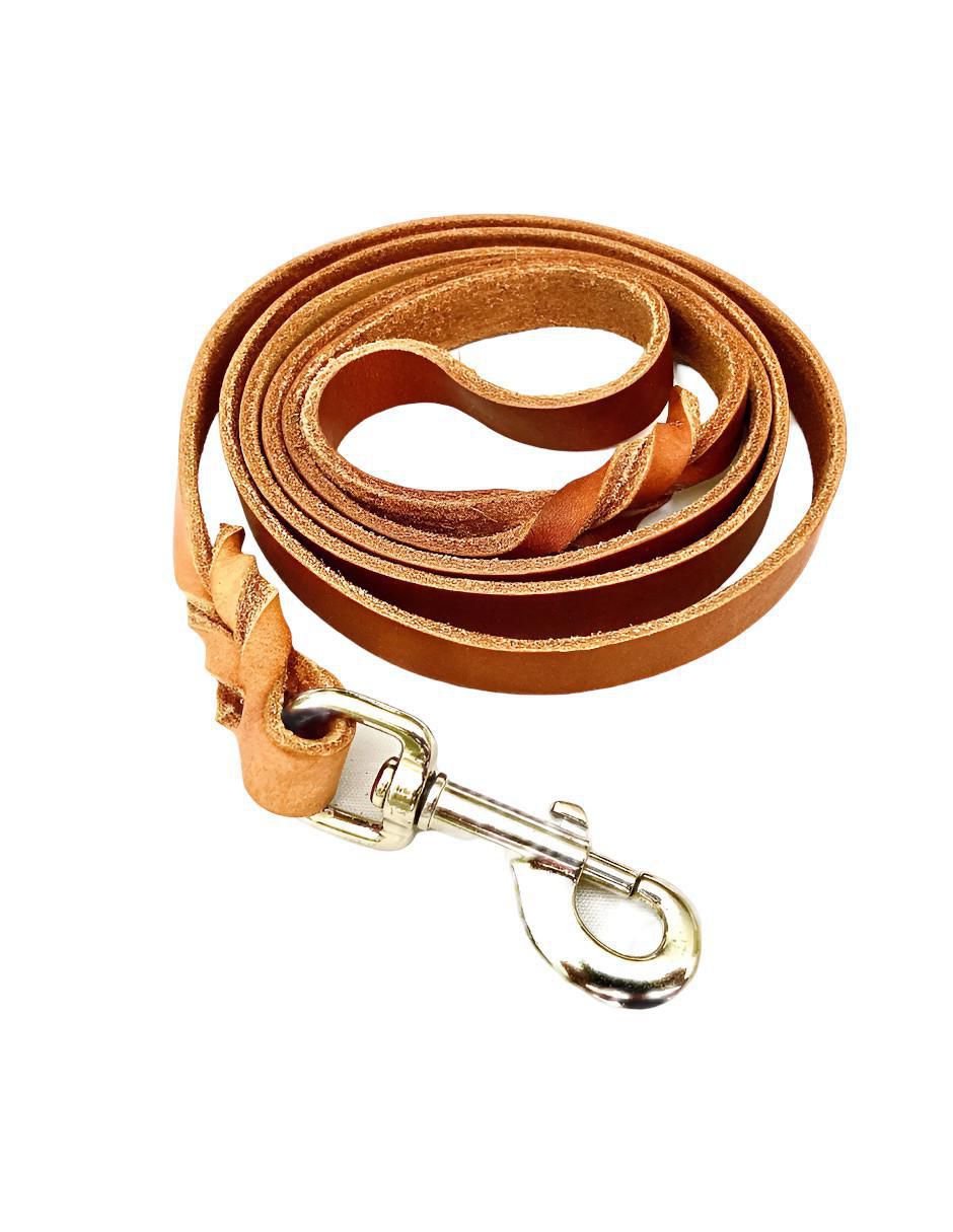 Correa de cuero para perro Correa de cuero para perro