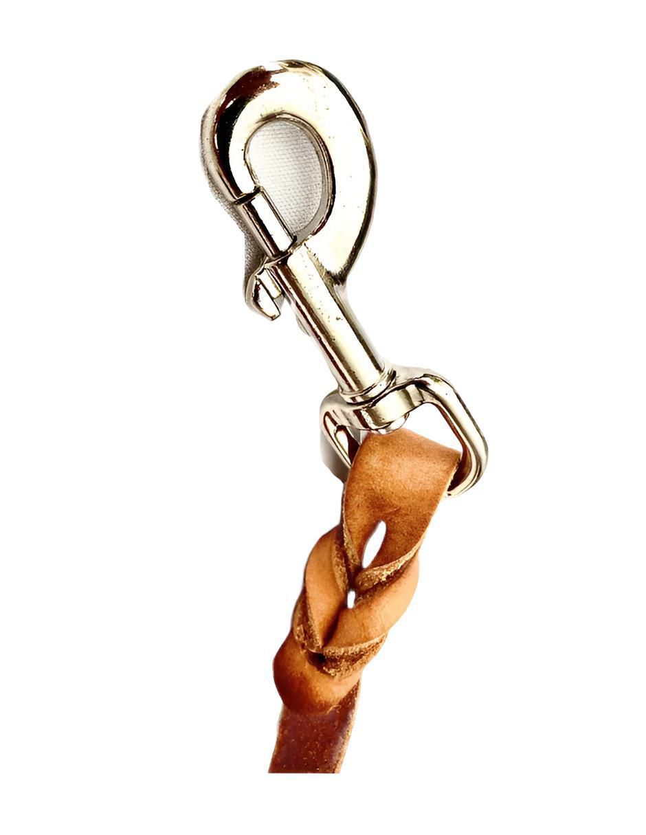 Correa de cuero para perro 3