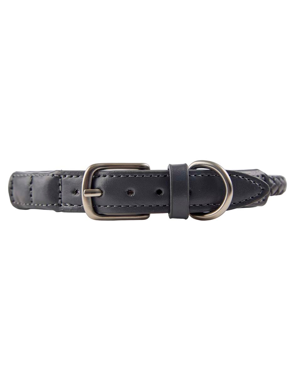 Collar para perro