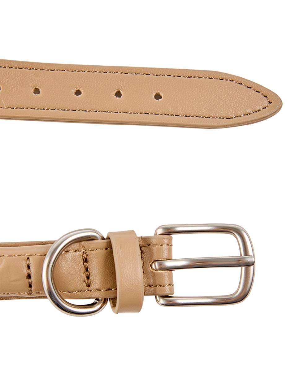 Collar Zoopet para perro