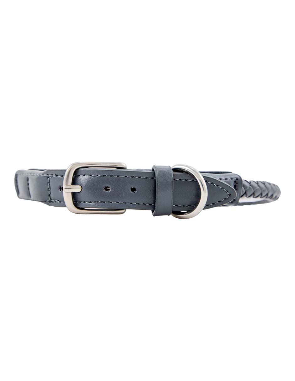 Collar para perro