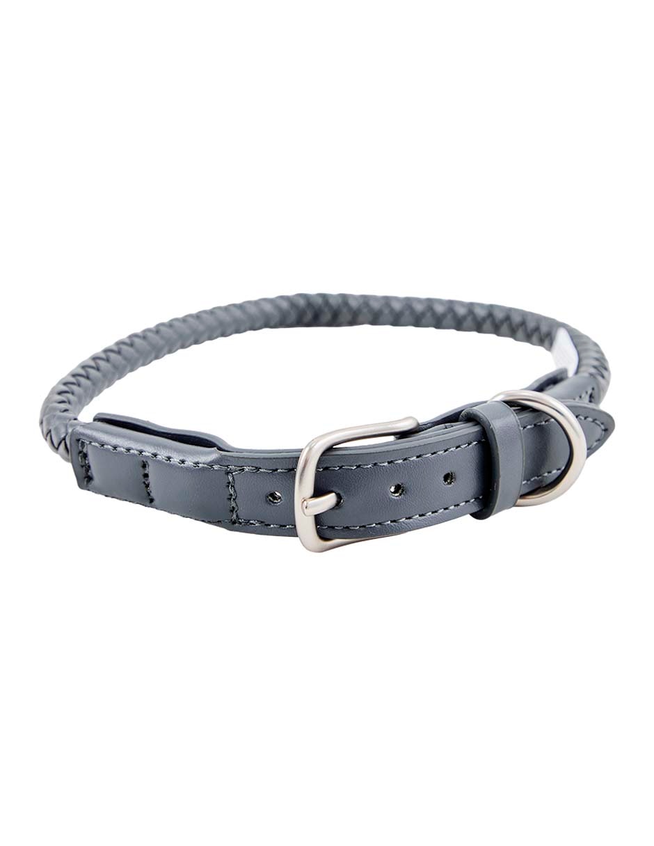 Collar para perro 6