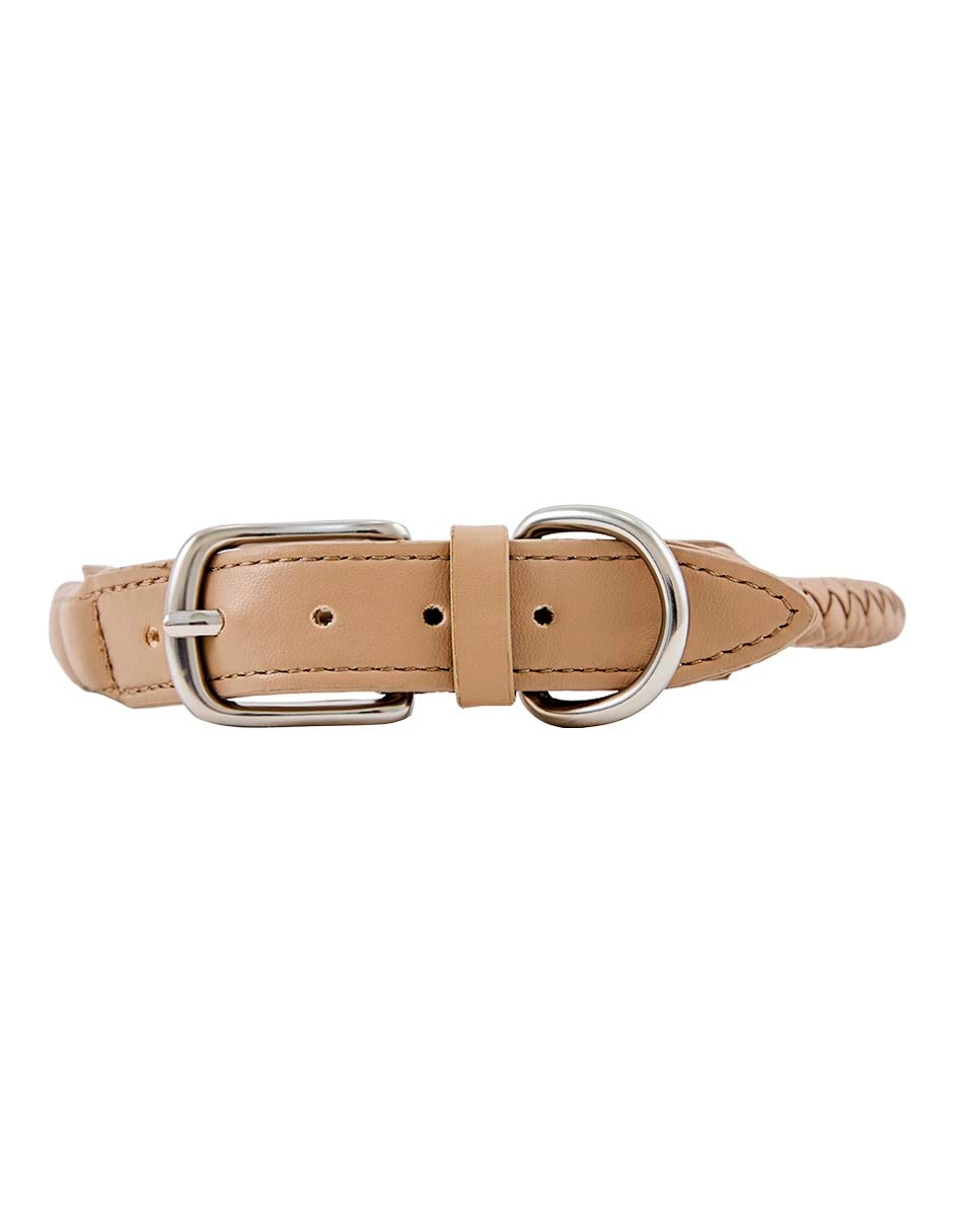 Collar para perro
