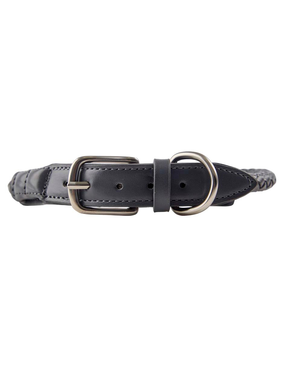 Collar para perro
