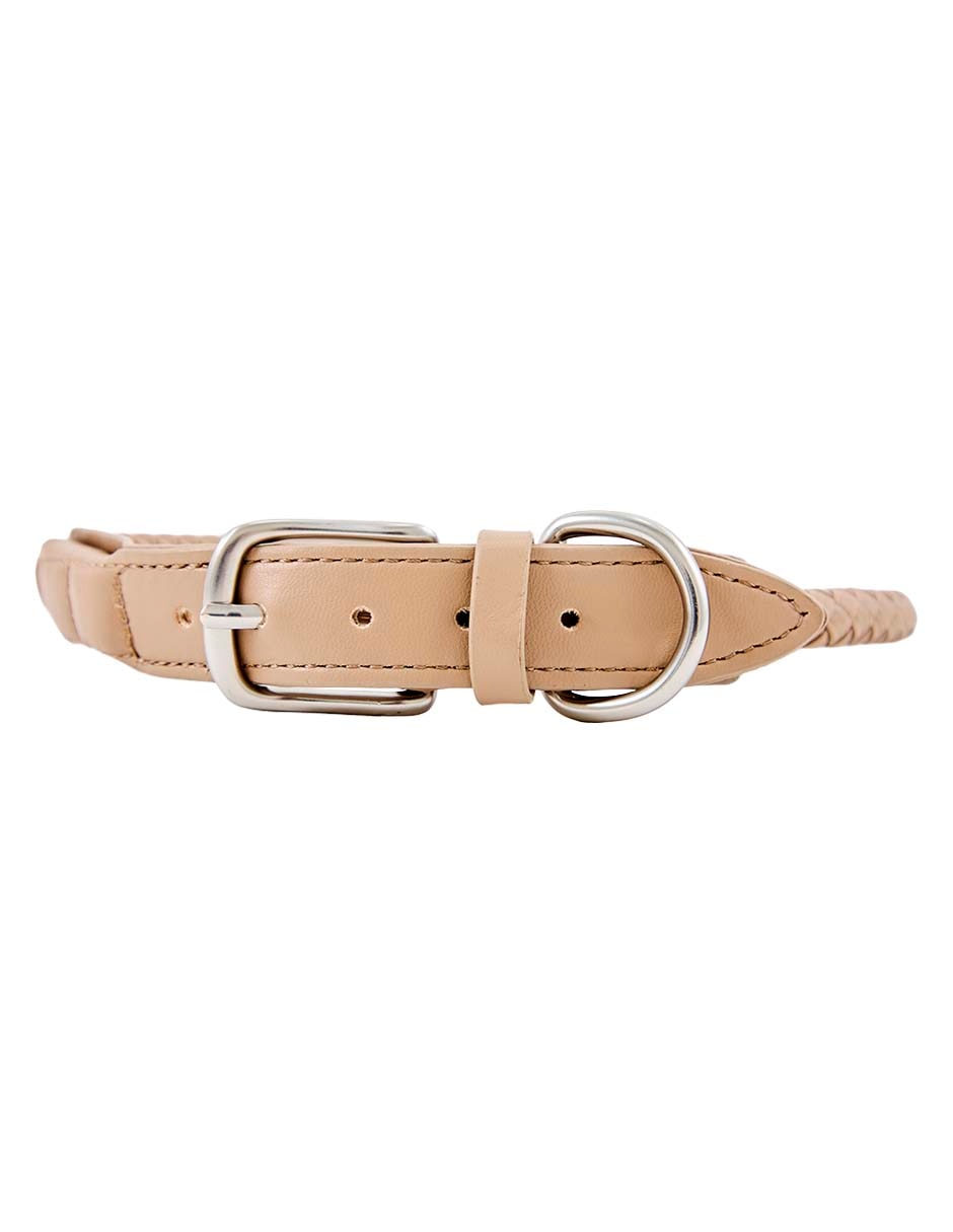 Collar para perro
