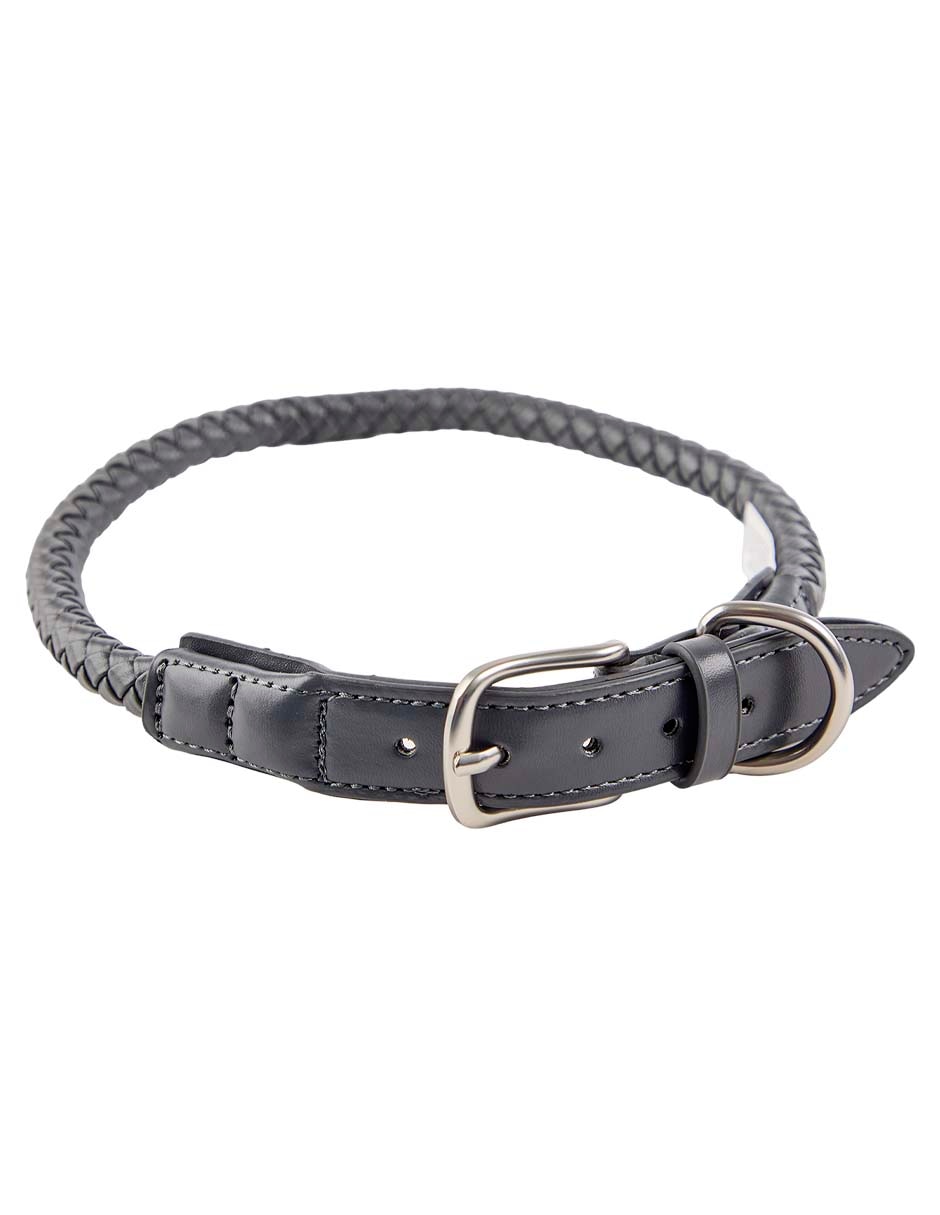 Collar para perro 3