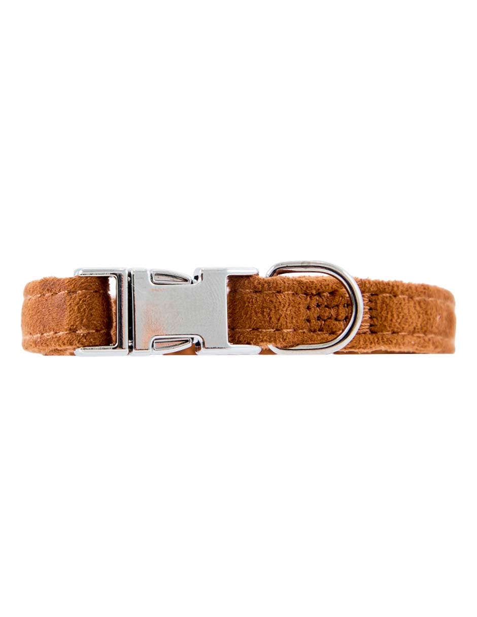 Collar para gato