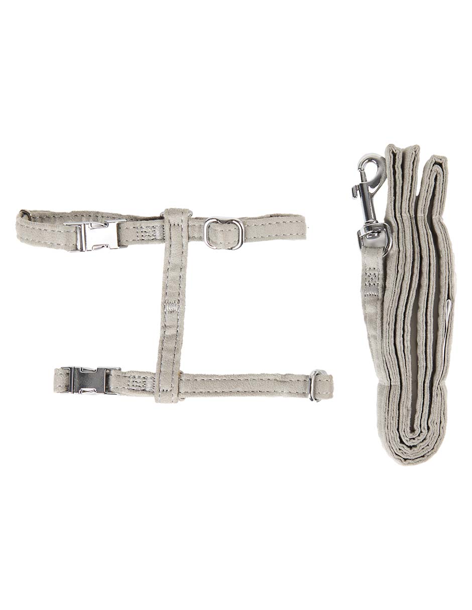 COLLAR ZOOPET FW25, XCH, GRIS