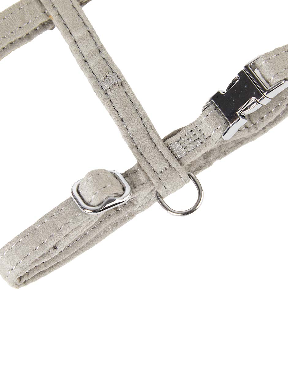 COLLAR ZOOPET FW25, XCH, GRIS