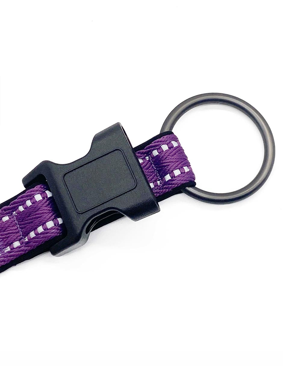Collar para perro 3