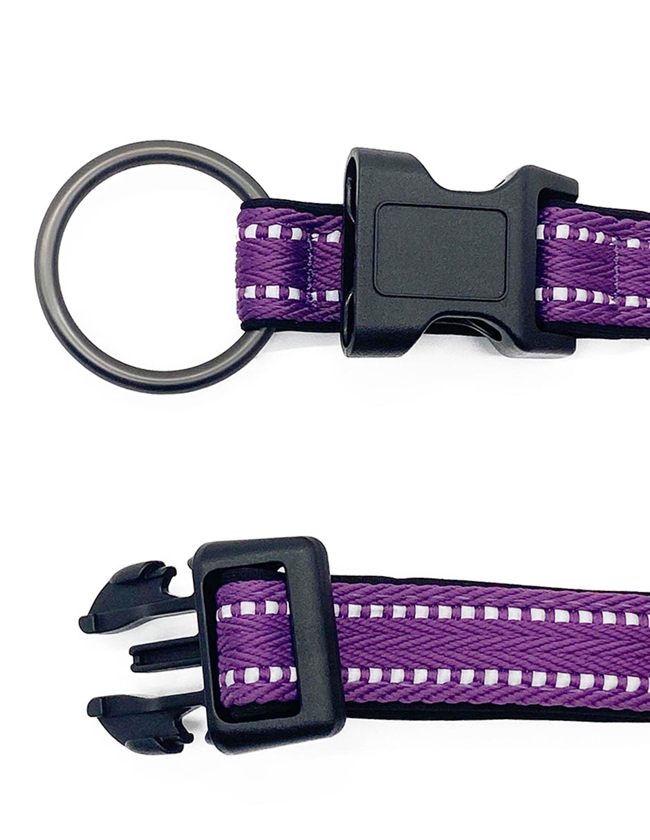Collar para perro 4