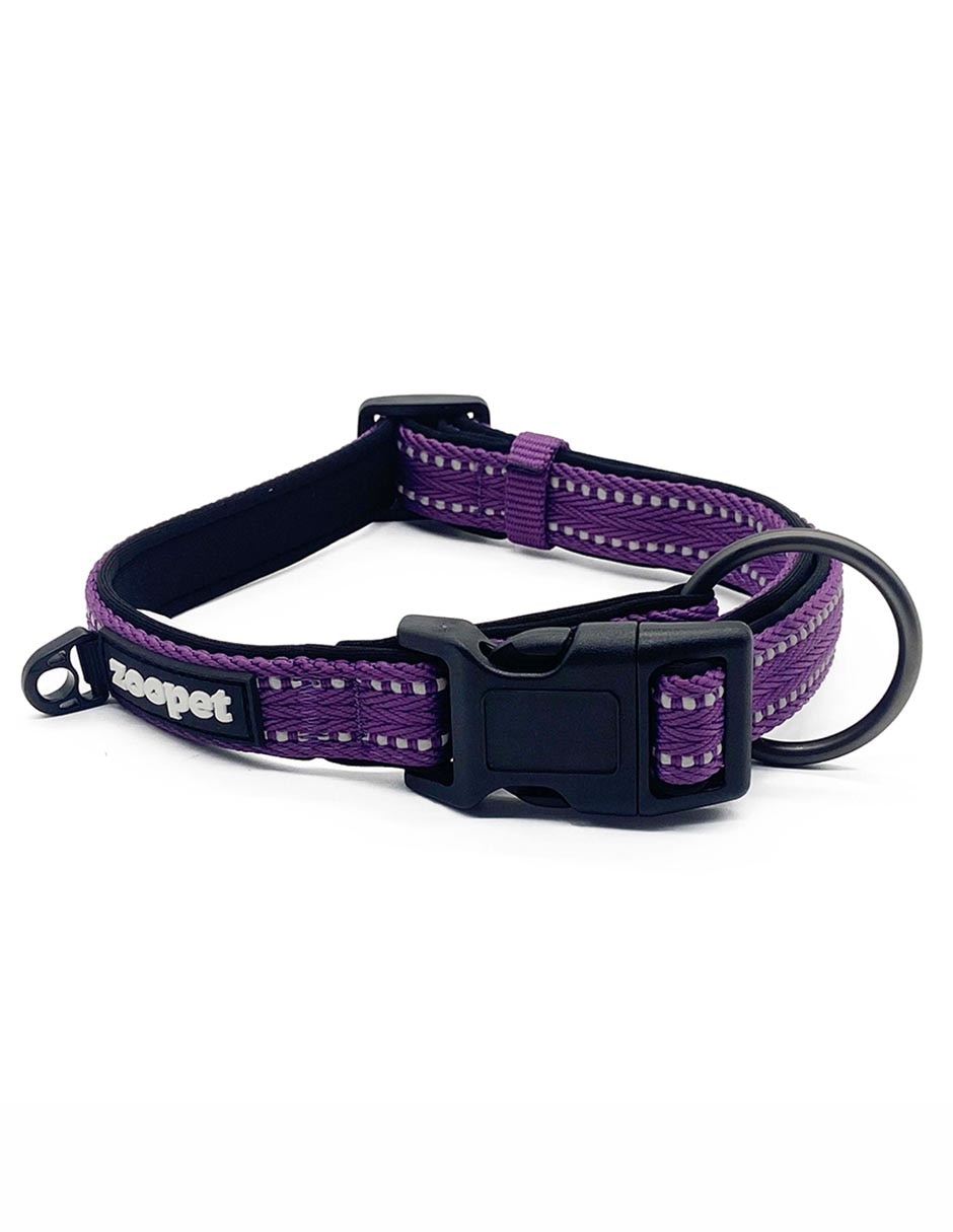 Correa y collar para perro