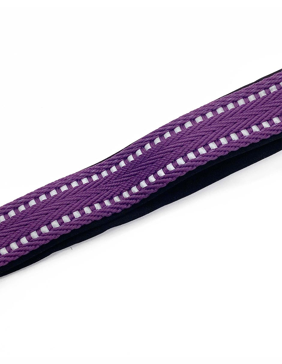 Correa y collar para perro 2