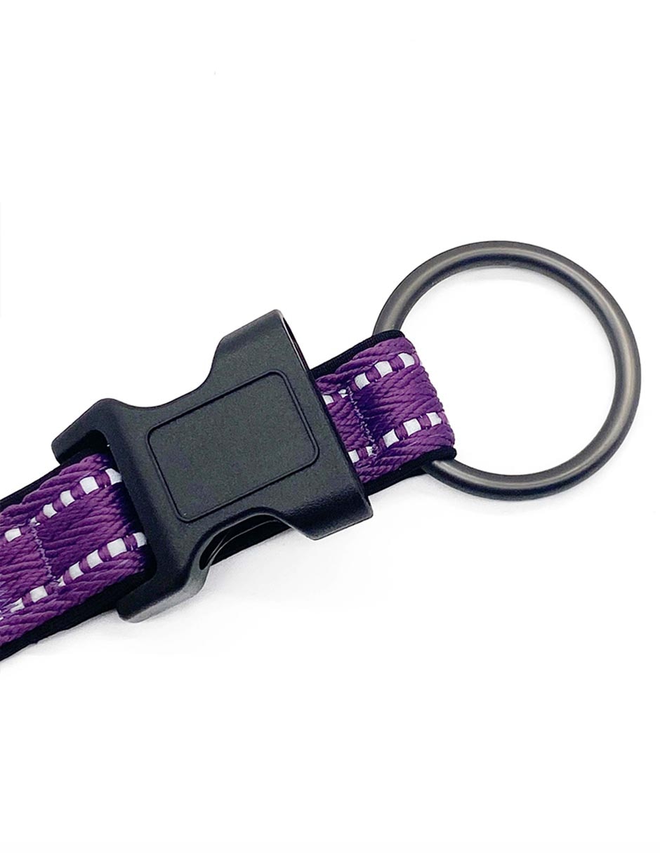 Correa y collar para perro 3