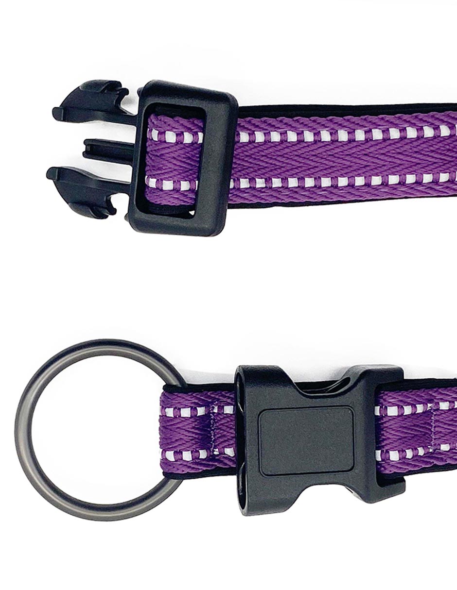 Correa y collar para perro 4