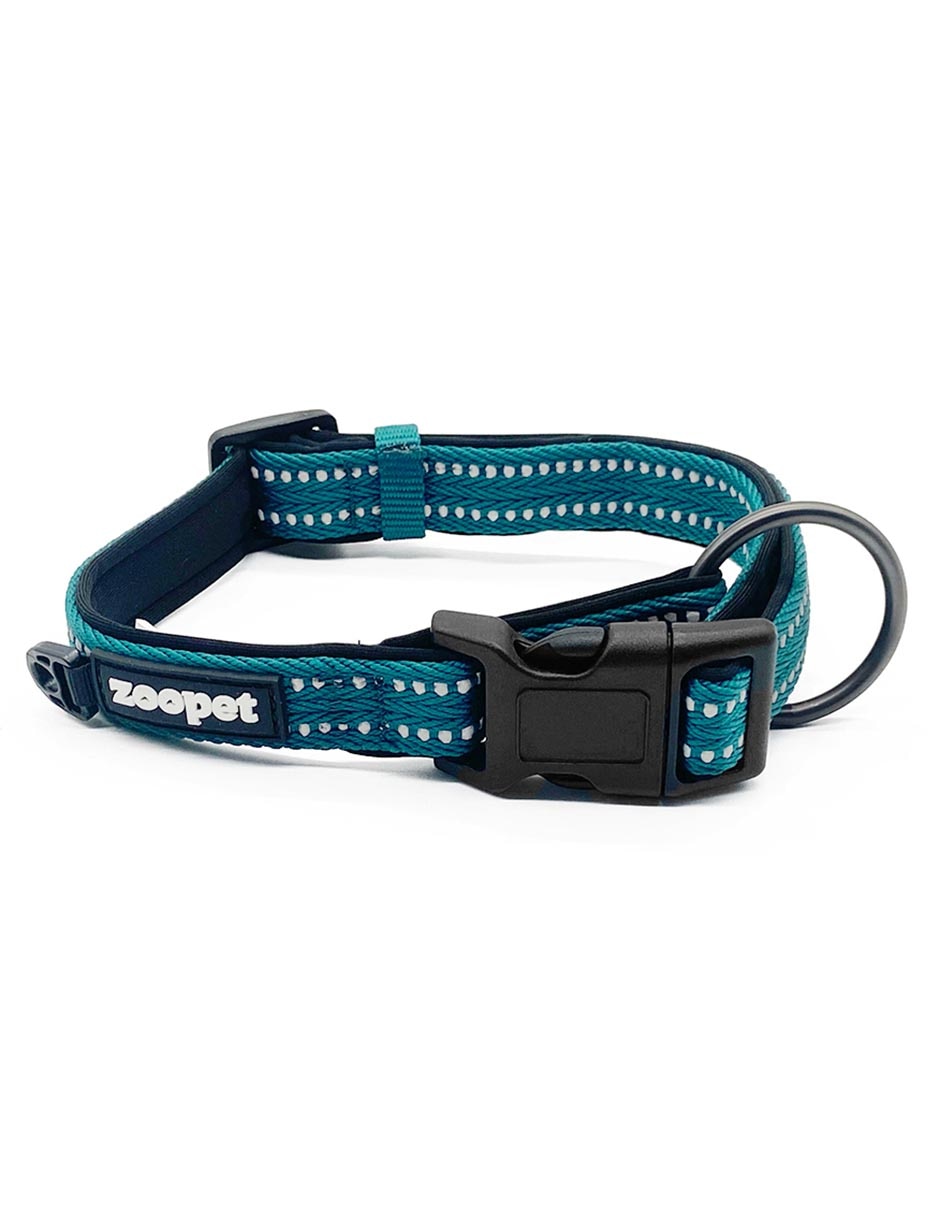 Correa y collar para perro