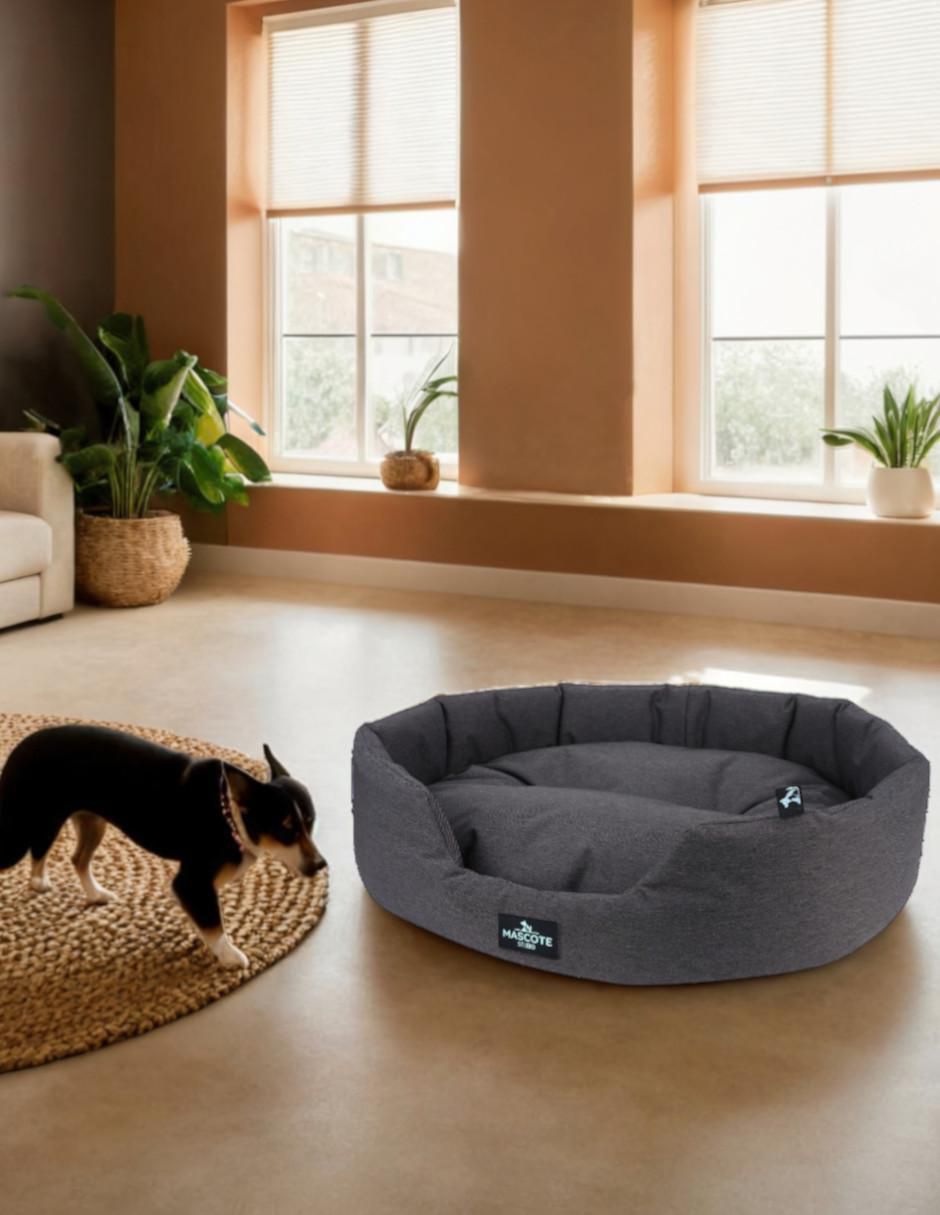 Cama para perro 6