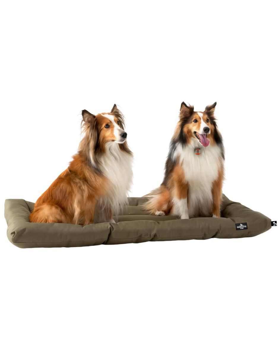 Cama para perro Cama para perro