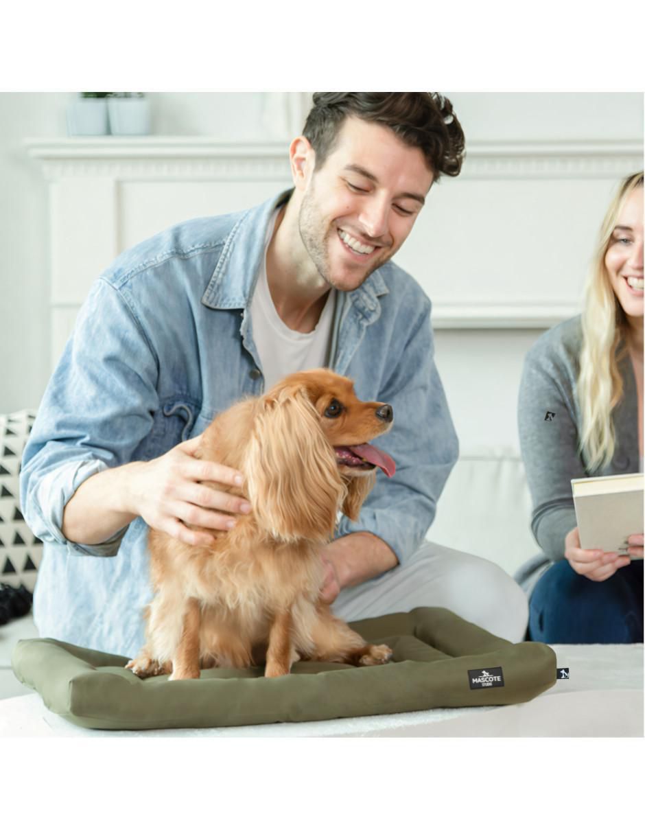 Cama para perro 5