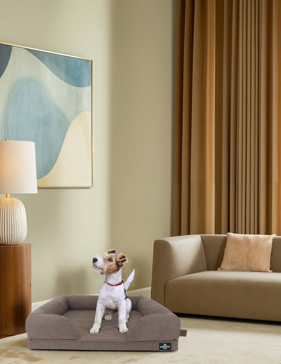 Cama para perro 5