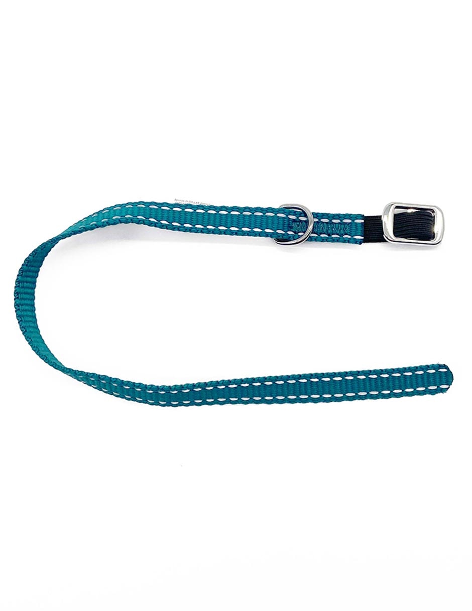 Collar para gato 2