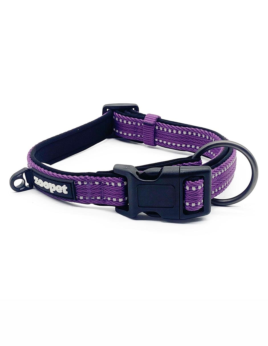 Correa y collar para perro