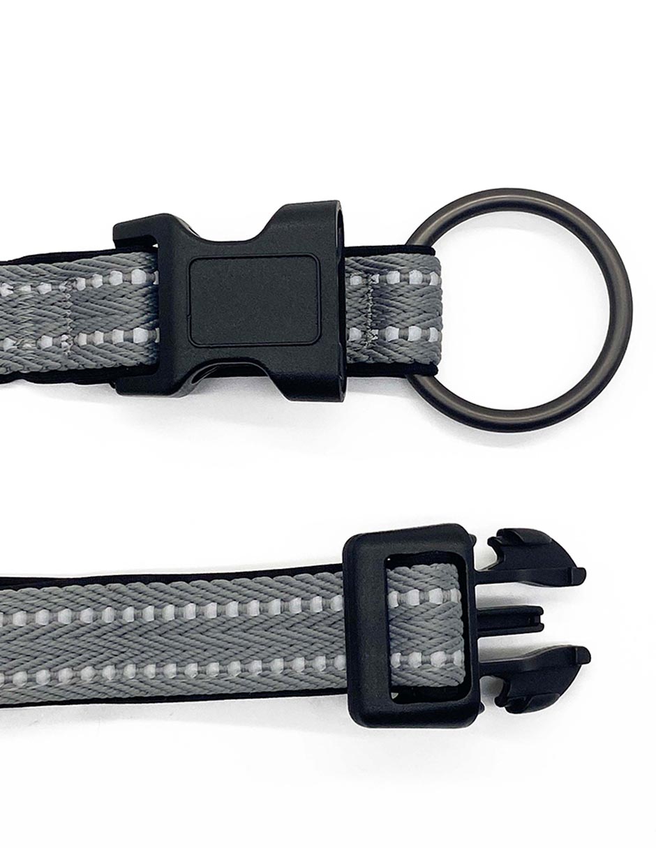 Correa y collar para perro 2