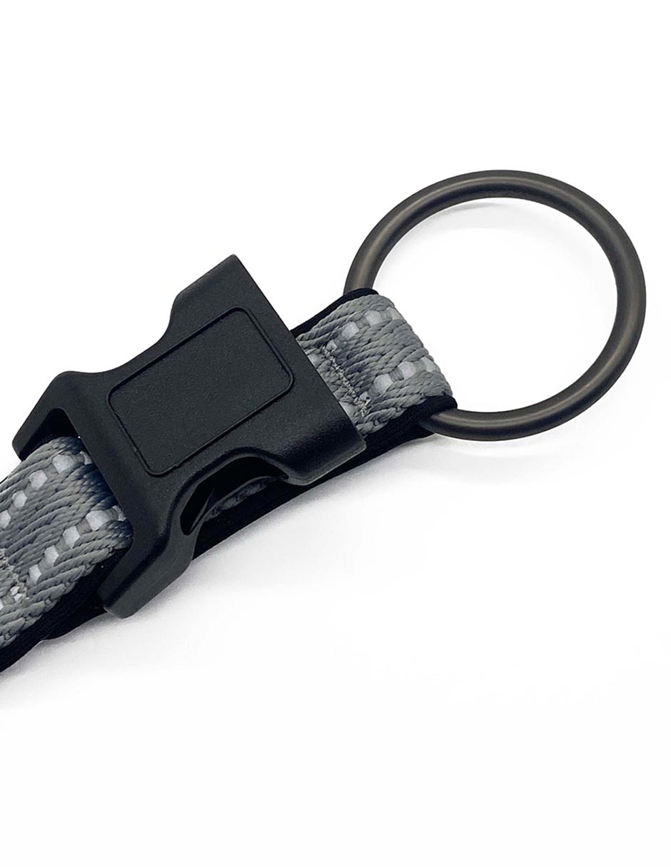 Correa y collar para perro 4
