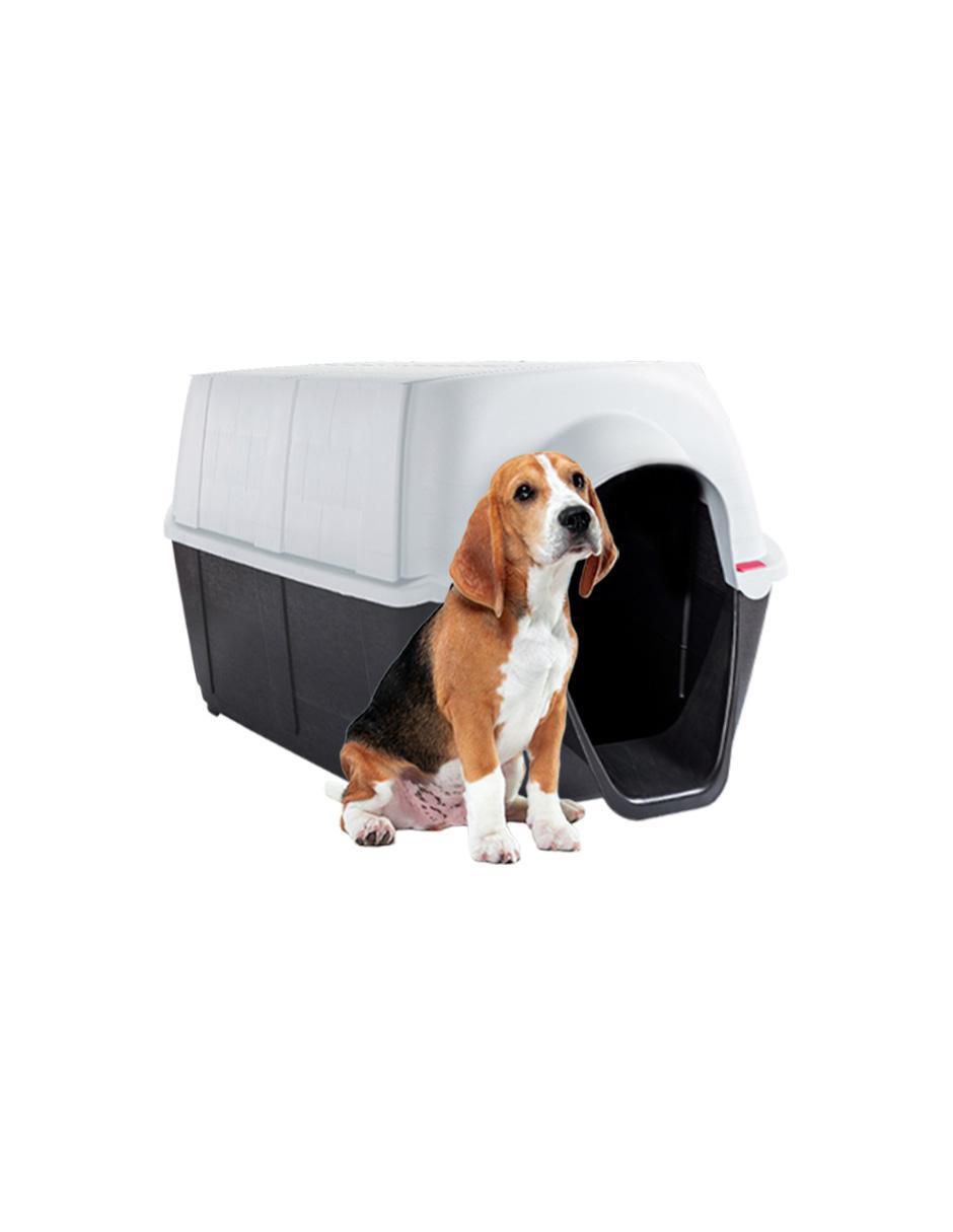 Casa para perro