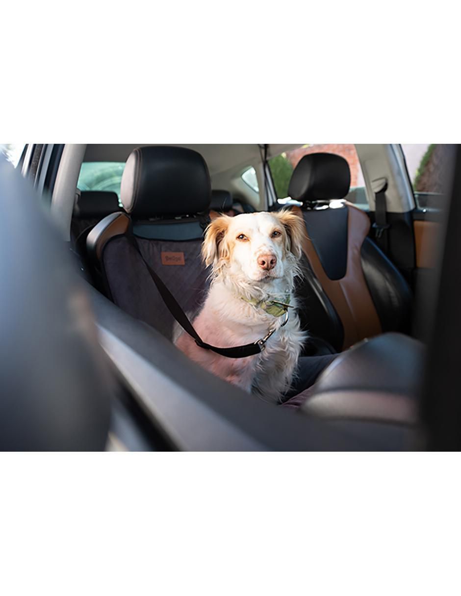 Autoasiento para mascota 11