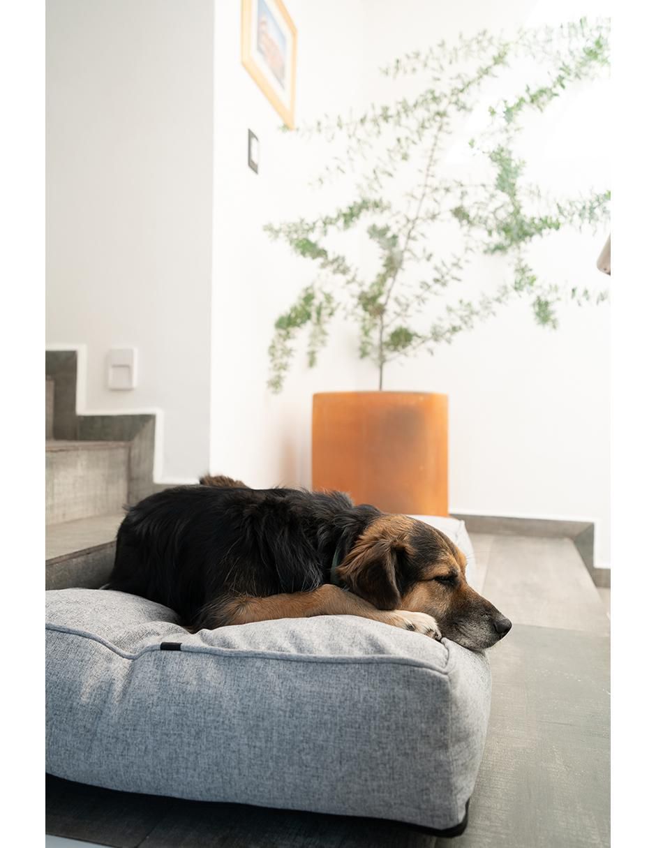 Cama para perro y gato 6