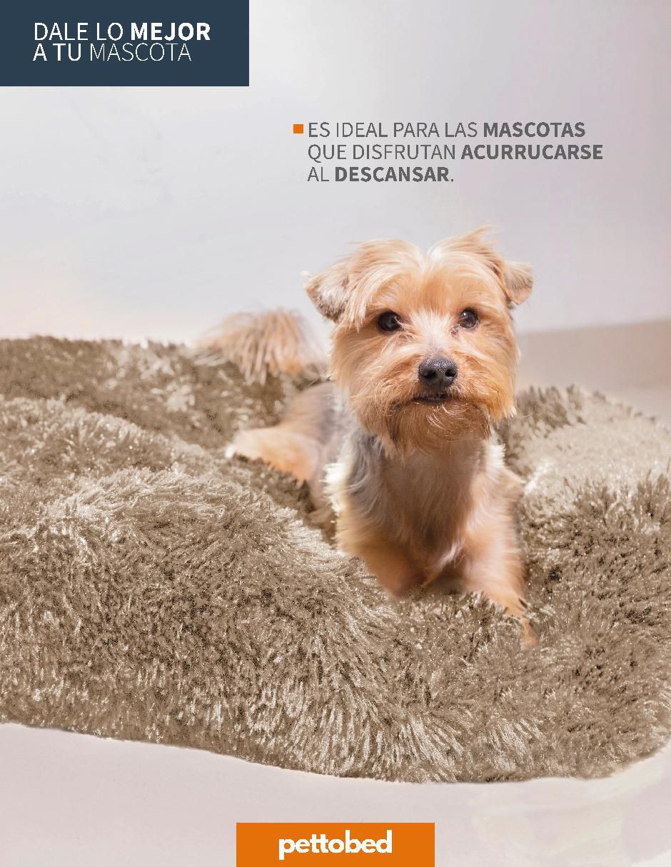 Cama para perro y gato Pet to Bed