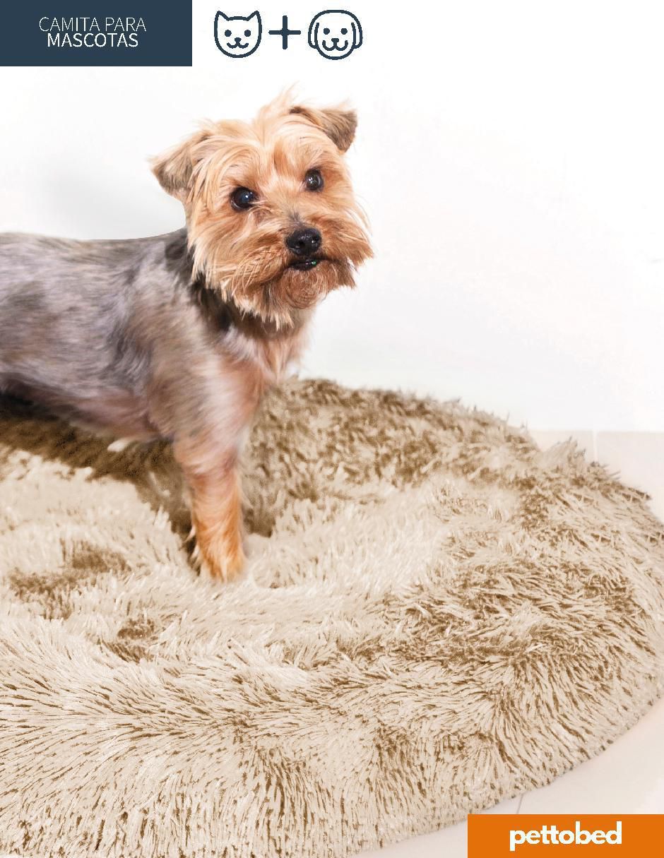 Cama para perro y gato Pet to Bed