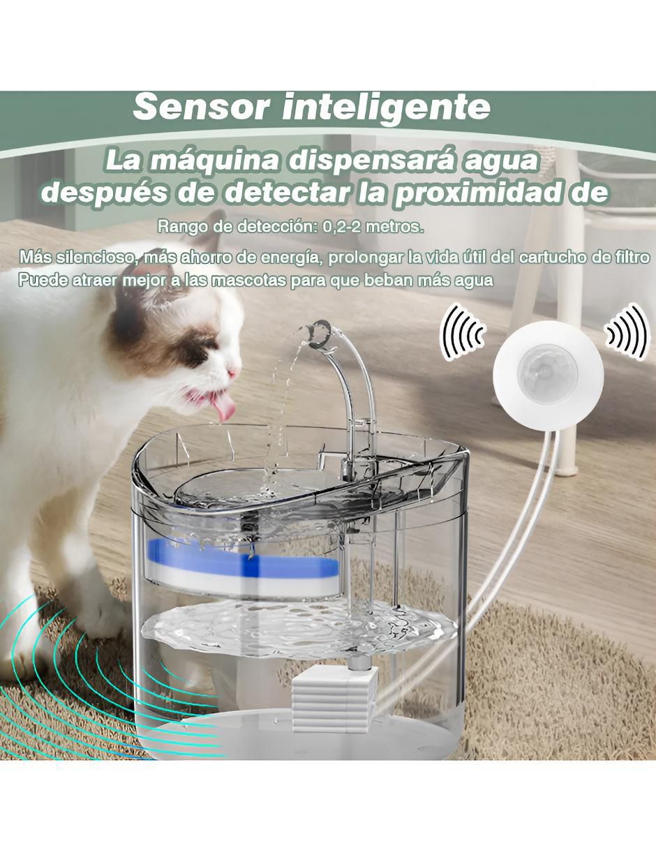 Bebedero transparente para gato 2 L 2