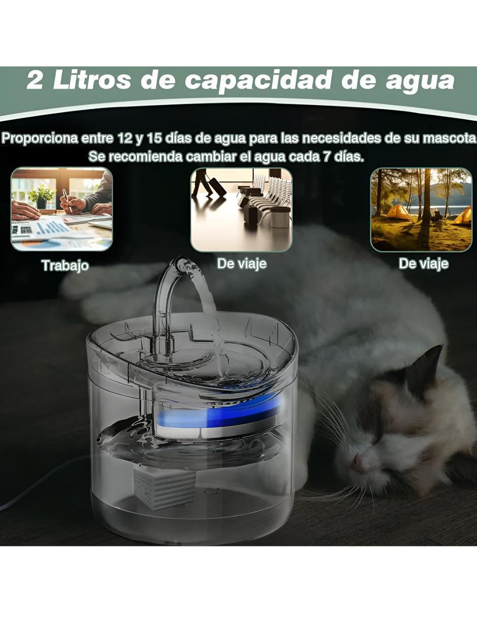 Bebedero transparente para gato 2 L 3
