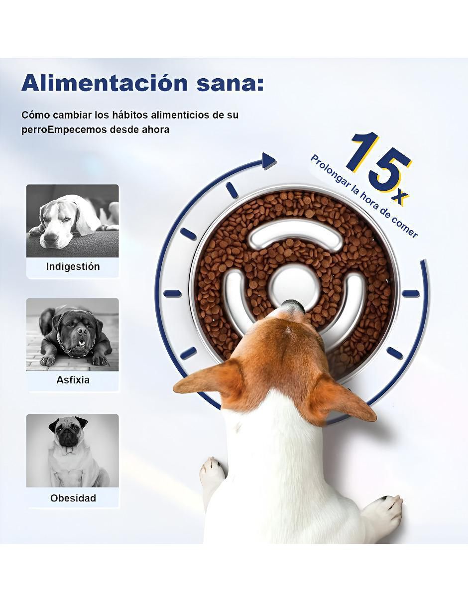 Plato para perro 2