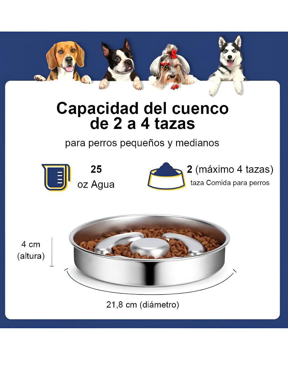 Plato para perro 5