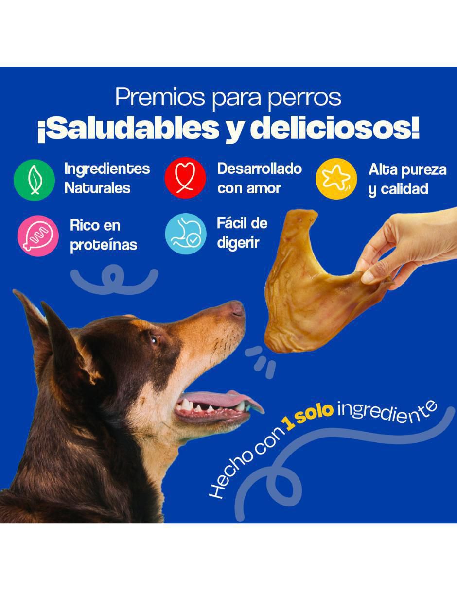 Premio para perro 100 g 2