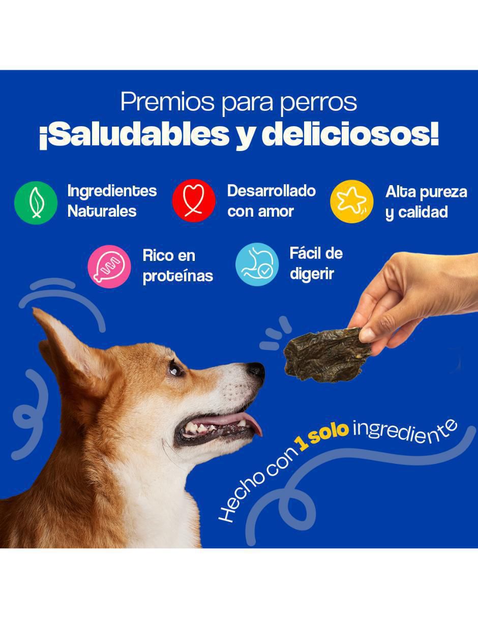 Premio de res para perro 100 g 2