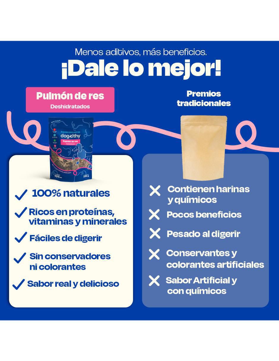 Premio de res para perro 100 g 5