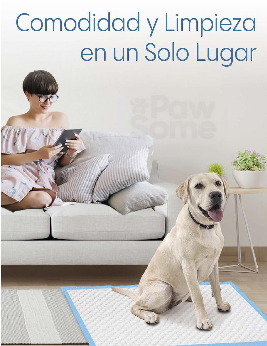 Tapete entrenador para perro 3