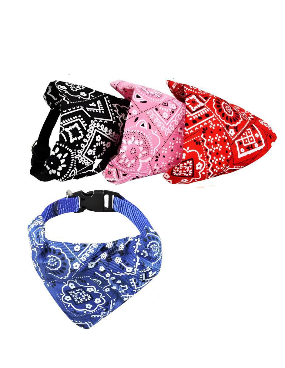 Set collar para mascota