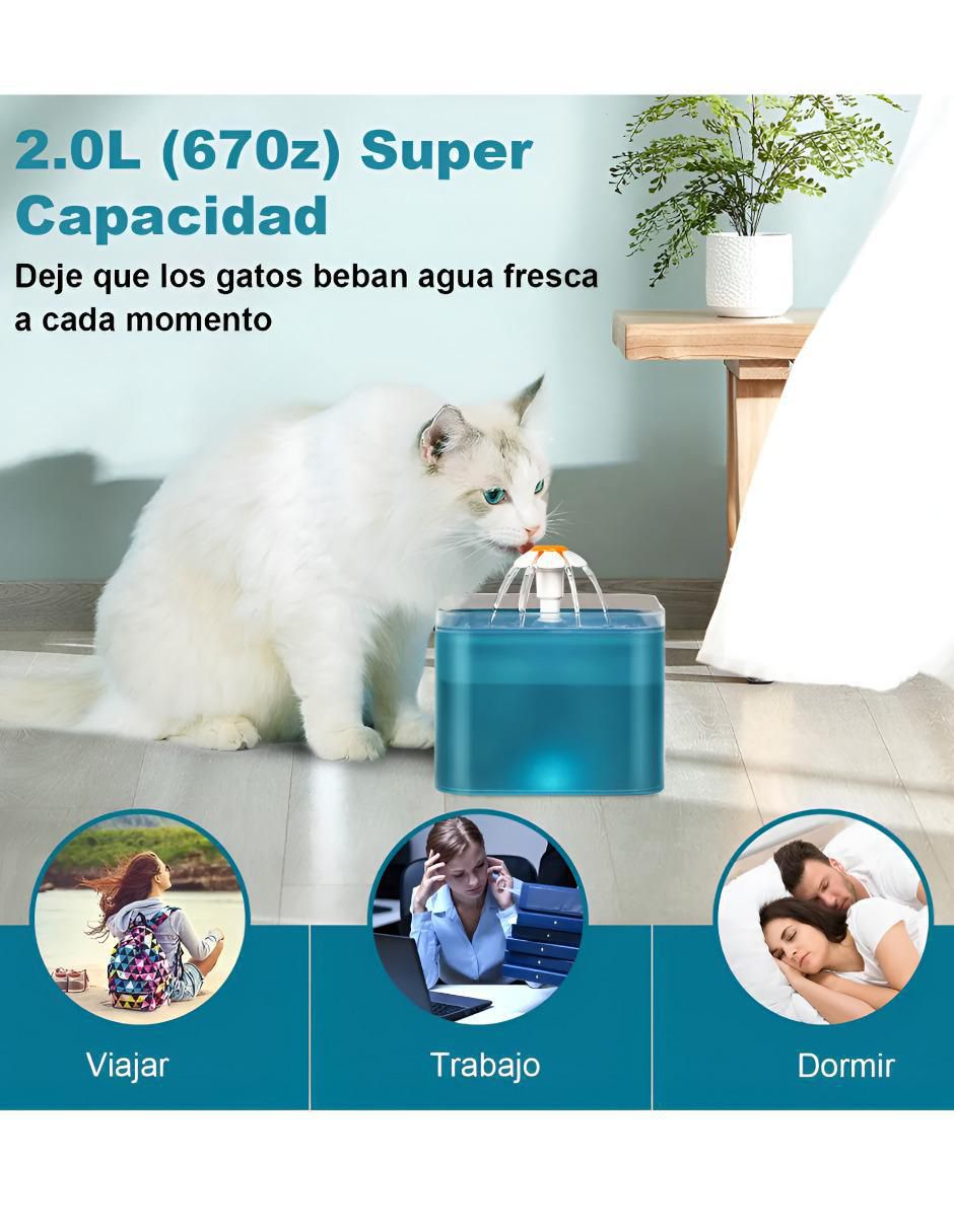 Bebedero transparente para perro y gato 2 L 4