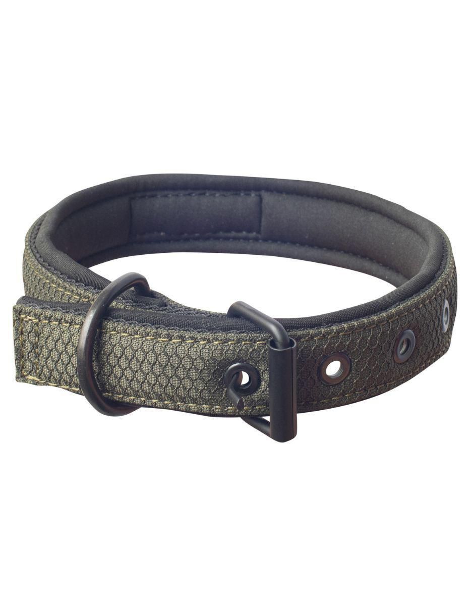 Collar para perro 2