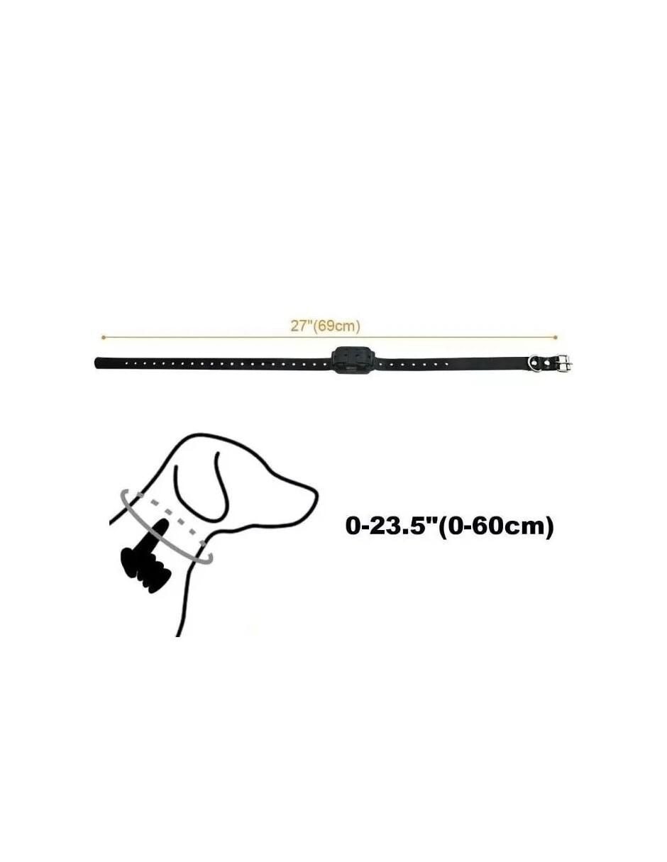 Collar para perro 5