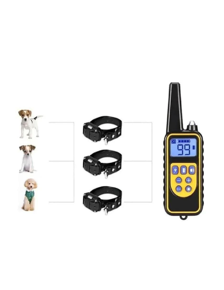 Collar para perro 4