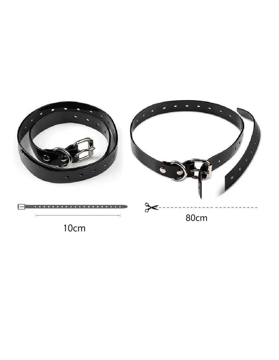 Kit de collar de plástico para perro 4
