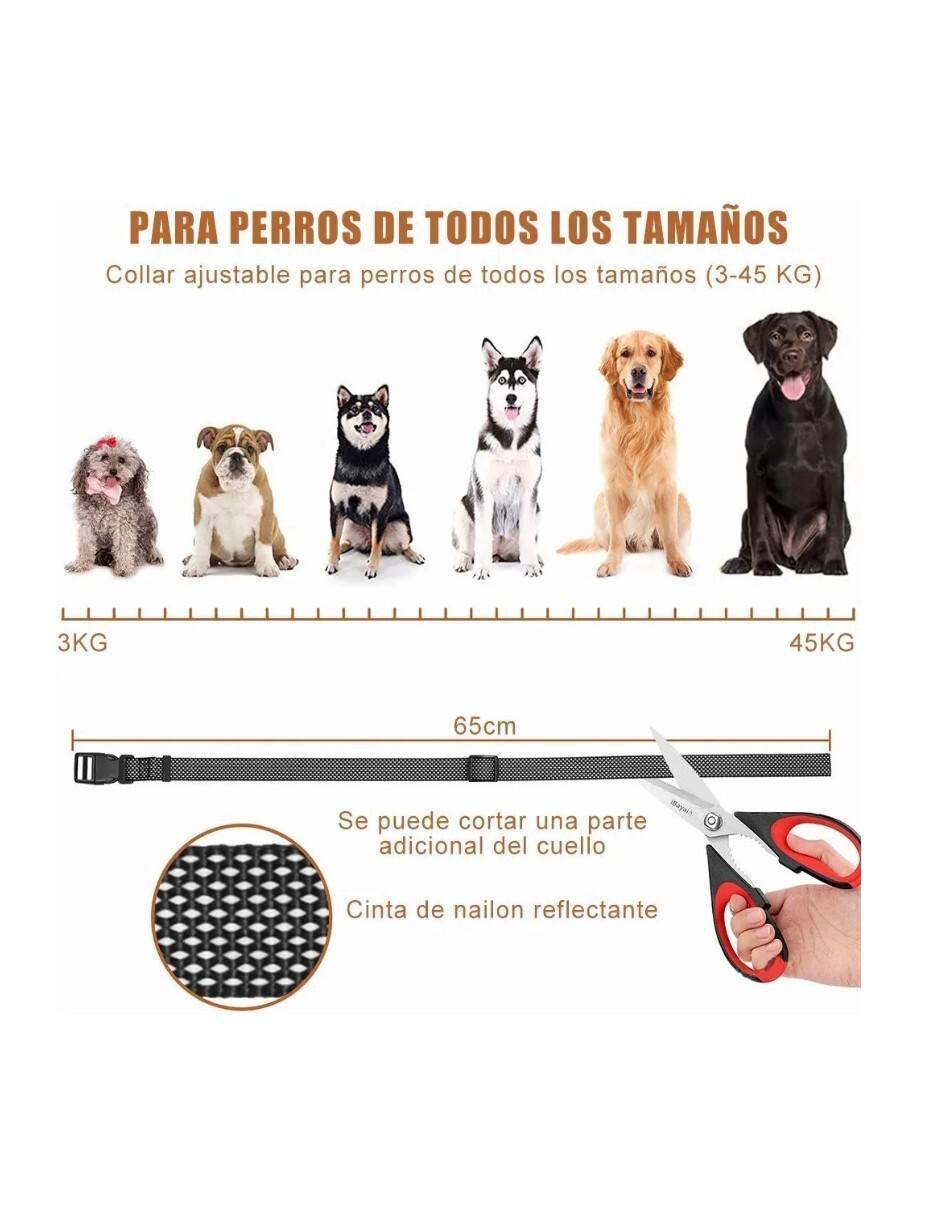 Collar para perro 4