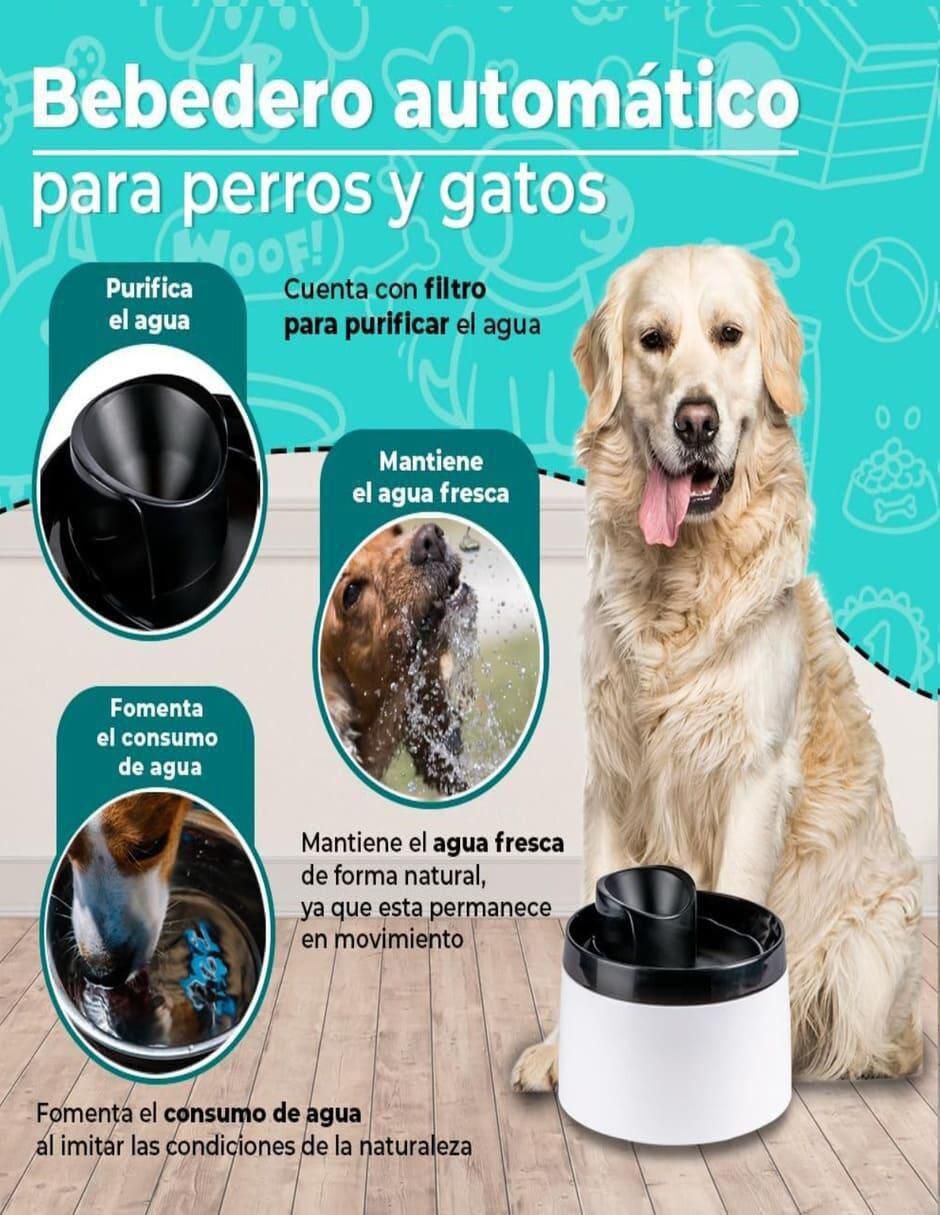 Bebedero transparente para perro y gato 2 L 2